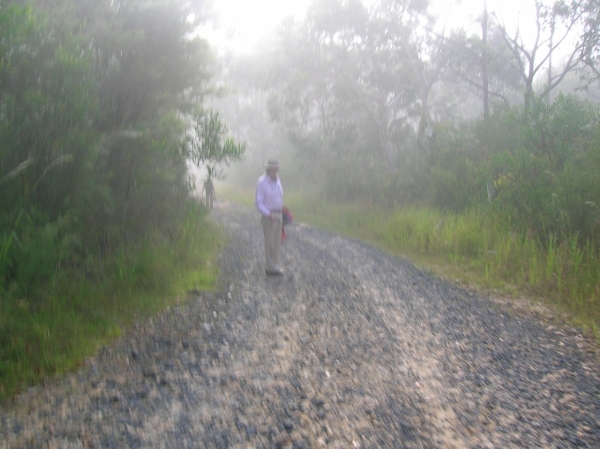 John Barrow in the mist at Kariong
