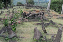 ruins in Indonesia