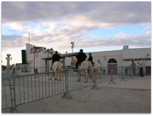 Riders on white horses prepare for the evocation of Les Saintes Maries de la Mer