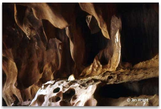 Photo showing the stalactites inisde Cathedral Cave at Uluru