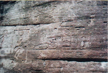 Hieroglyph at Kariong