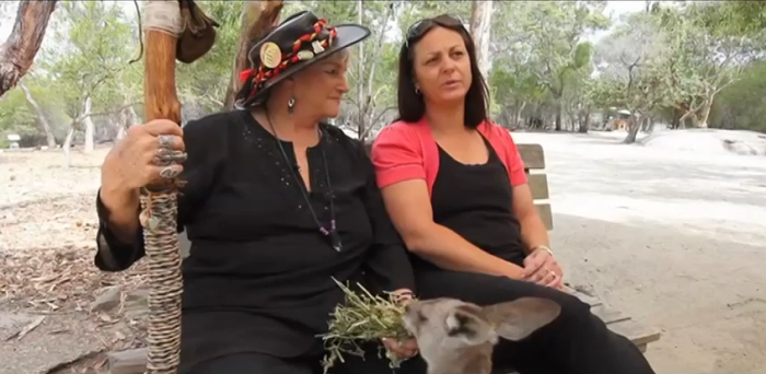 Aunty Beve feeds a Kangaroo
