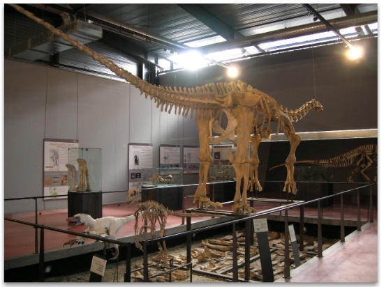 Dinasaur skeleton in in the museum at Esperaza