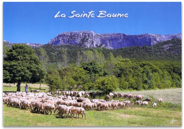Postcard view of la-Sainte-Baume with sheep grazing in the foreground