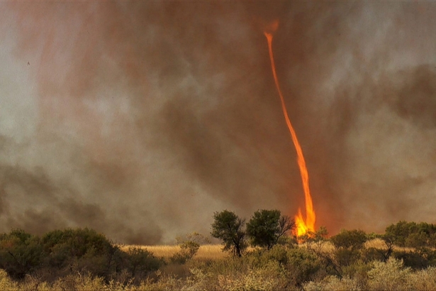 Fire Tornado caputured by film maker Chris Tangey