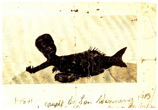 Fish with odd human semblance caught in 1915