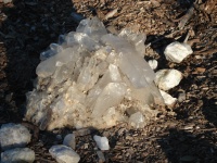 Alcheringa Crystal