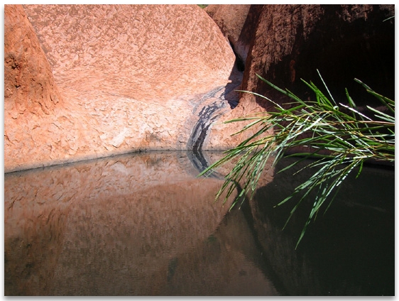 Photo of Mutijulu Spring showing water