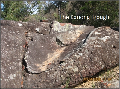 Ancient Trough at Kariong