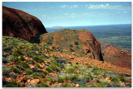 view of Uluru from the The Olgas