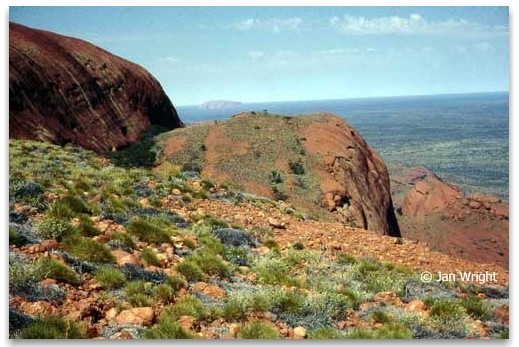 Photo taken from the top of Mt Olga looking towards Uluru