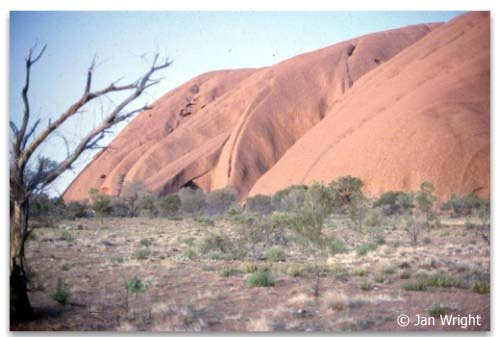 This is Uluru taken from the lodge. You can see from the lack of 'green' the season has been dry