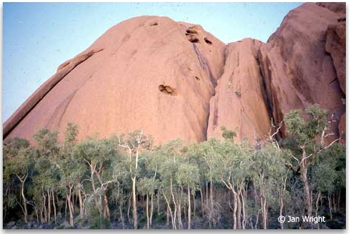 Photo showing what is called the Kangaroo Tail at Uluru