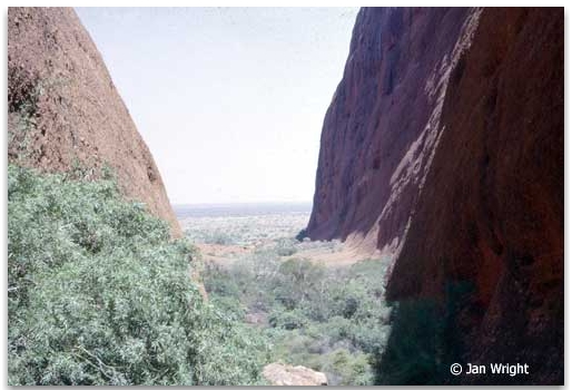 Photo looking out from the Valley of the Winds at Kata Tjuta