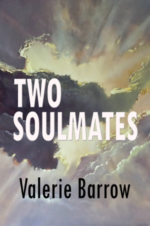 Two Soulmates Book Cover